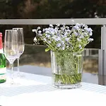 Apartament Prora - Ferienwohnung Mit Balkon - Strandgut Binz